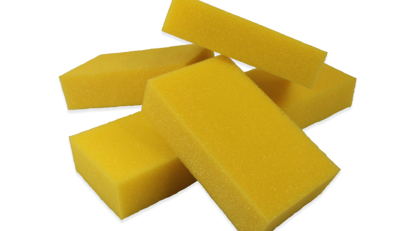 Sponges